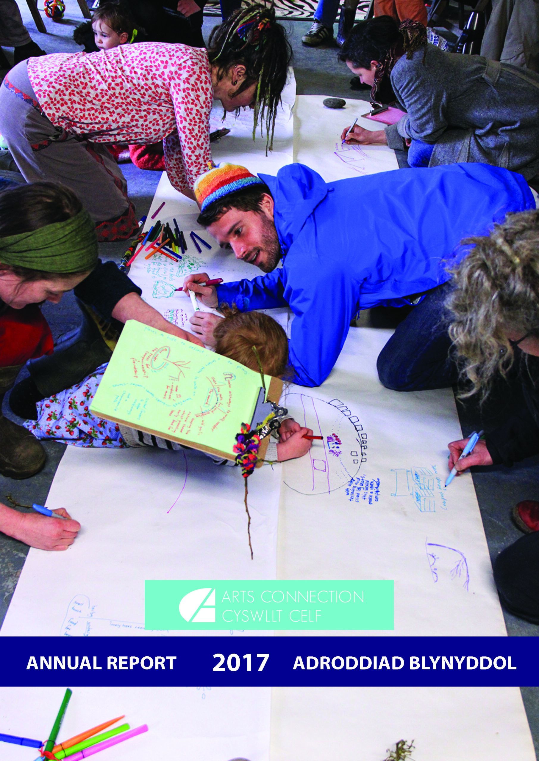 Annual Report 17 Cover