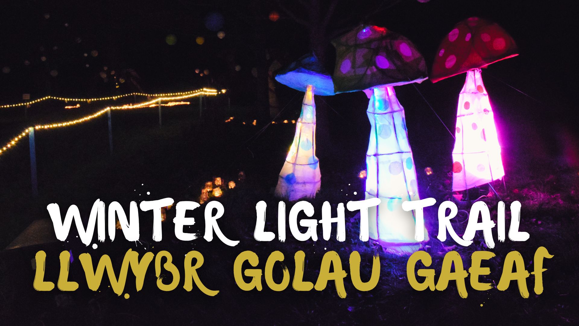 Winter Light Trail (1920 x 1080 px)