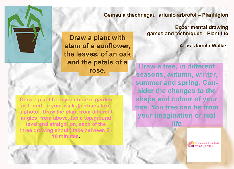72 dpi WORKSHEET Welsh and English Plant Life Arts Connection Online Art Workshop 30th April 2020 Artist Jamila Walker