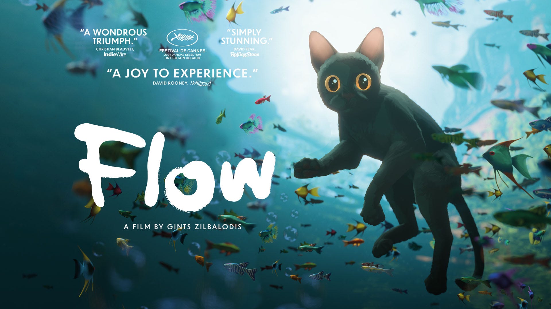 FLow Image
